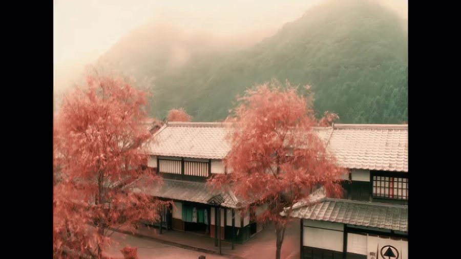 忍者