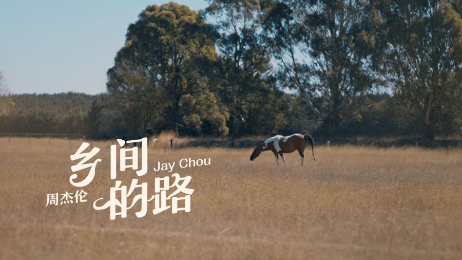 乡间的路